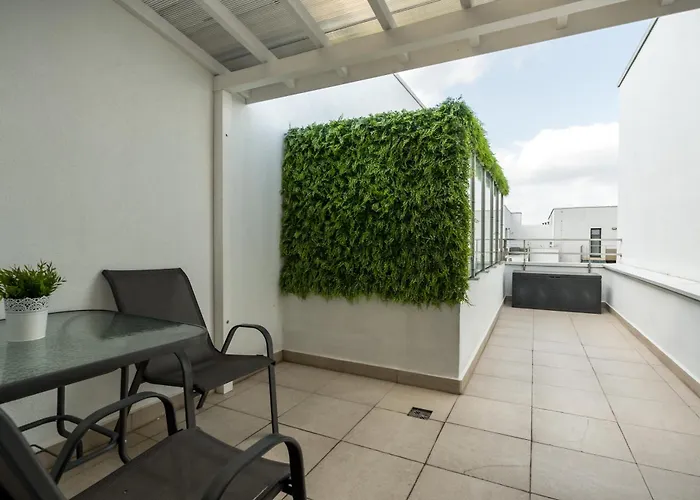 Nova Vista Bucureşti